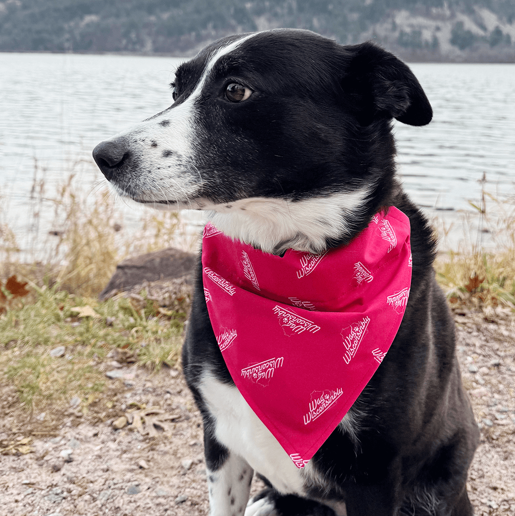 Wag Wisconsinbly Reversible Paw Print Bandana