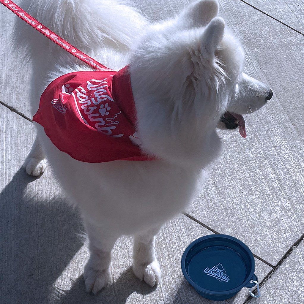 Wag Wisconsinbly Bandana