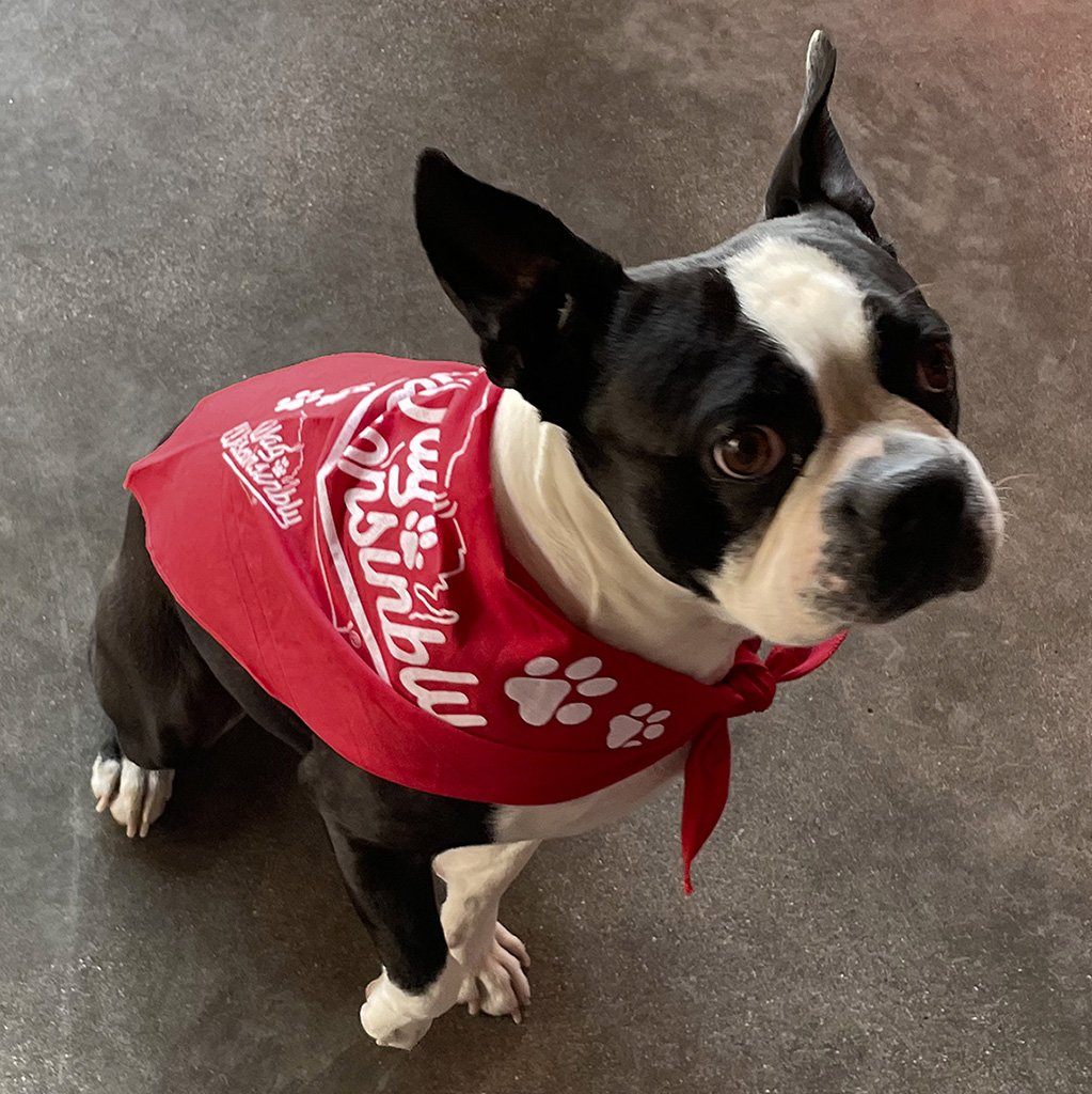 Wag Wisconsinbly Bandana